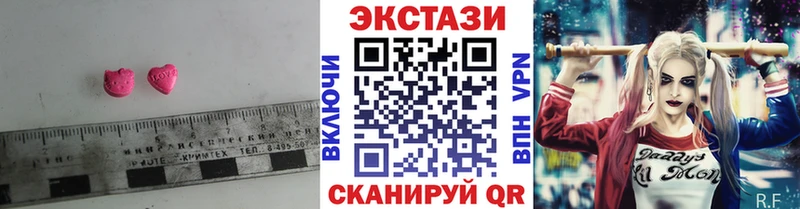 Купить закладки  Отрадный  Ecstasy таблы 