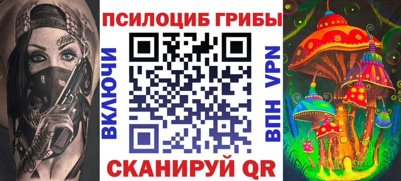 Купить закладки  Отрадный  Галлюциногенные грибы Magic Shrooms 